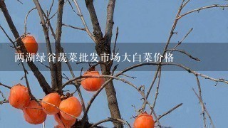 两湖绿谷蔬菜批发市场大白菜价格