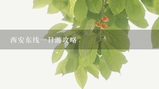 西安东线1日游攻略