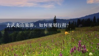 去武夷山旅游，如何规划行程？