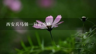 西安兵马俑1日游攻略