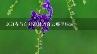 2021春节自驾游最适合去哪里旅游