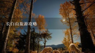 长白山旅游攻略