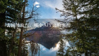 去国外旅行，哪个APP比较实用