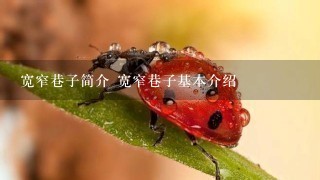 宽窄巷子简介 宽窄巷子基本介绍