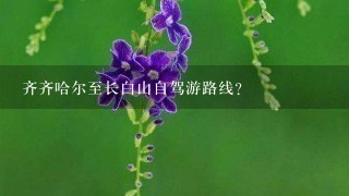 齐齐哈尔至长白山自驾游路线?