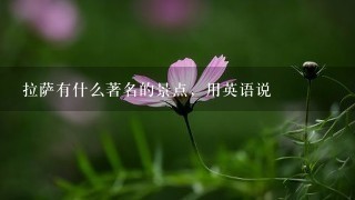 拉萨有什么著名的景点，用英语说