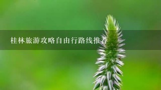 桂林旅游攻略自由行路线推荐
