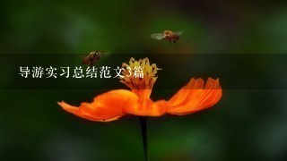 导游实习总结范文3篇