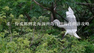 求1份成都到北海涠洲岛详细的自助游攻略