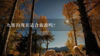 9寨沟现在适合旅游吗？