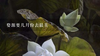 婺源要几月份去最美