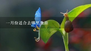 1月份适合去哪里旅游