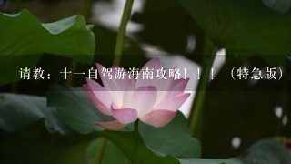 请教：十1自驾游海南攻略！！！（特急版）