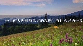 去云南大理洱海旅游的攻略？有什么好的推荐网站？