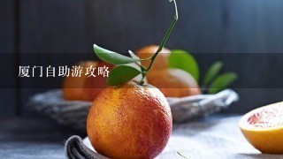 厦门自助游攻略