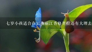 7岁小孩适合在云南丽江香格里拉还有大理去玩吗