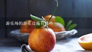 游乐场的游乐设施有哪些