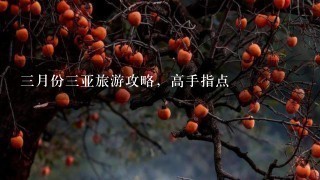 3月份3亚旅游攻略，高手指点