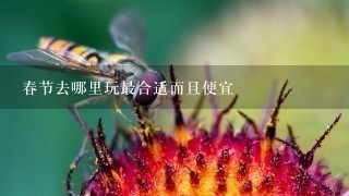 春节去哪里玩最合适而且便宜