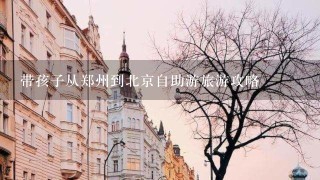 带孩子从郑州到北京自助游旅游攻略