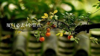 厦门必去4个景点