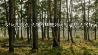 好玩的景点 无锡有哪些好玩的地方 无锡好玩的地方