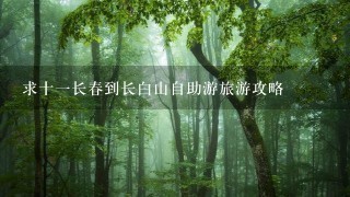 求十1长春到长白山自助游旅游攻略