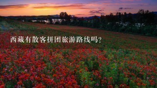 西藏有散客拼团旅游路线吗？