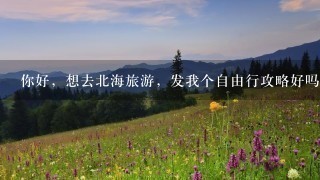 你好，想去北海旅游，发我个自由行攻略好吗？