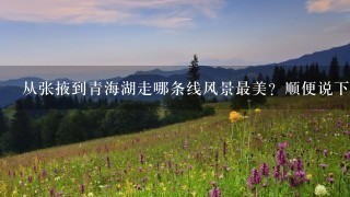 从张掖到青海湖走哪条线风景最美？顺便说下路况和耗时。 7月初去祁连山上还有雪吗？