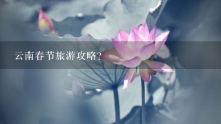 云南春节旅游攻略？