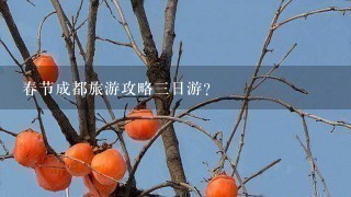 春节成都旅游攻略3日游？