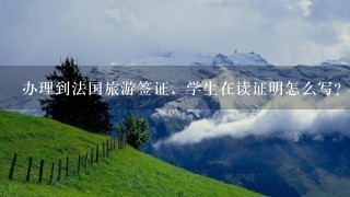 办理到法国旅游签证，学生在读证明怎么写？