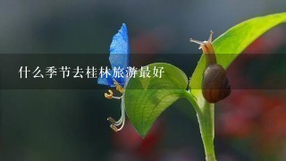 什么季节去桂林旅游最好