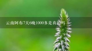 云南阿布7天6晚1000多是真的吗