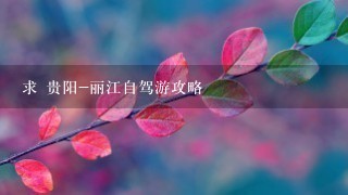 求 贵阳-丽江自驾游攻略