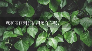 现在丽江到泸沽湖还有车吗？