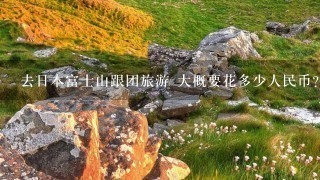 去日本富士山跟团旅游 大概要花多少人民币? 听说日本资生堂的化妆品很有名 价位如何