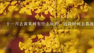 十1月去黄果树有什么玩的，这段时间去荔波小7孔怎么样？两个地方哪个更适合这个季节玩？