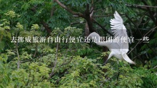 去挪威旅游自由行便宜还是跟团游便宜1些