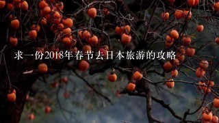 求1份2018年春节去日本旅游的攻略
