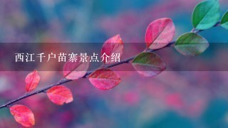 西江千户苗寨景点介绍