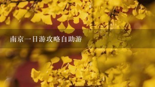 南京1日游攻略自助游