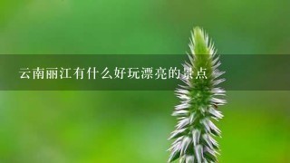 云南丽江有什么好玩漂亮的景点