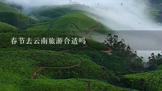 春节去云南旅游合适吗