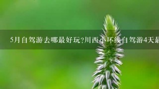 5月自驾游去哪最好玩?川西小环线自驾游4天最佳线路推荐及景点攻略