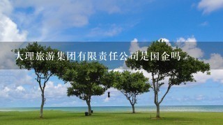 大理旅游集团有限责任公司是国企吗