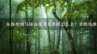 从徐州到马陵山风景名胜区怎么去？求路线推荐？