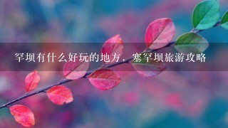 罕坝有什么好玩的地方，塞罕坝旅游攻略