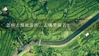 怎样去报旅游团，去哪里报名？